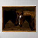 Suche nach pferdefreunde poster Braun