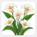 Suche nach strauß aufkleber Weiß