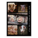 Suche nach wildschwein karten Haken