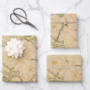 Suche nach alphonse mucha geschenkpapier Blume