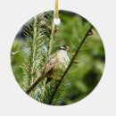 Suche nach spatz ornamente Vögel