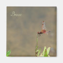 Suche nach libellen magnete Blatt