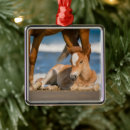 Suche nach wildpferde ornamente Senf