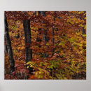Suche nach braun abstrakt poster Herbst
