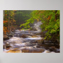 Suche nach strom poster Wald