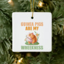 Suche nach meerschweinchen ornamente Nagetier