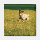 Suche nach gras magnete Feld