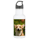 Suche nach corgi trinkflaschen Hund