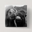 Suche nach lächelndes tier buttons Fotografie