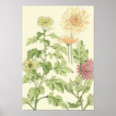 Suche nach antikes botanisches poster Gartenarbeit
