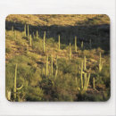 Suche nach wüste mousepads Landschaft