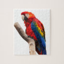 Suche nach wilde papageien puzzle Tiere