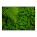 Suche nach humboldt postkarten Wald