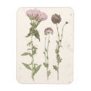 Suche nach blüten magnete Blume