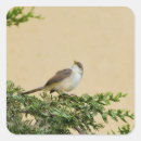 Suche nach spatz aufkleber Vogel
