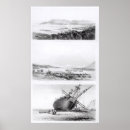 Suche nach marder poster Schiff