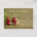 Suche nach rettich Gartenarbeit