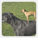 Suche nach doggen aufkleber Tier