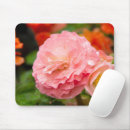 Suche nach frühlings blumen mousepads Fotografie