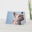 Suche nach reinrassiges tier karten Bulldogin