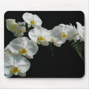Suche nach weiße orchidee mousepads Landschaft