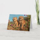 Suche nach alaska karten Tierwelt