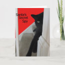 Suche nach freche katze Fotografie