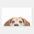 Suche nach trend post it Lustig