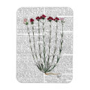 Suche nach nelken magnete Kurios