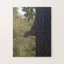 Suche nach eichhörnchen puzzle Natur