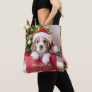Suche nach beagle taschen Hund