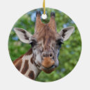 Suche nach giraffs schmuck Portrait