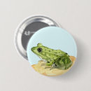 Suche nach grüner frosch buttons Tier