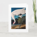 Suche nach audubon karten Vintag