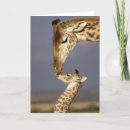 Suche nach giraffe karten Wildtiere