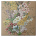 Suche nach alpine blumen Blumenreich