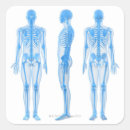 Suche nach skeleton geschenkverpackung Darstellung