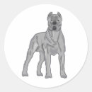 Suche nach cane corso aufkleber Rohrkorso