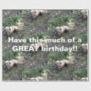 Suche nach ungarisch geschenkpapier Geburtstag