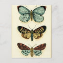 Suche nach collections Creme