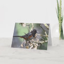 Suche nach sperling karten Wild