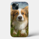 Suche nach corgi iphone hüllen Hund