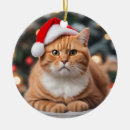 Suche nach ingwer ornamente Lustig