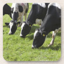 Suche nach weiden lassen untersetzer Landwirtschaft