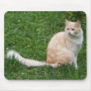 Suche nach knuddelig mousepads Bezaubernd