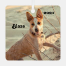 Suche nach heeler ornamente Blau
