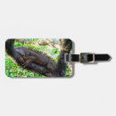 Suche nach baum gepäckanhänger Nationalpark