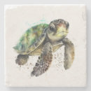 Suche nach schildkröte untersetzer Aquarell