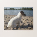 Suche nach jack russell terrier puzzle Tier