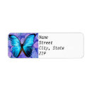 Suche nach morpho Blau